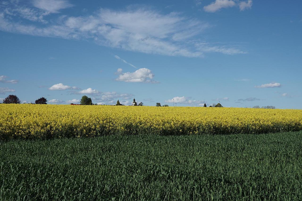 Ferienwohnung Reimann Mit Kostenloser Albcard Blaubeuren Buitenkant foto